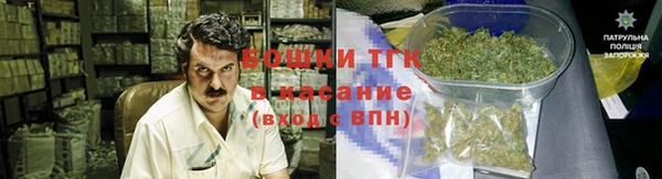 трава Арсеньев