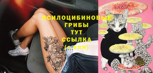 трава Армянск