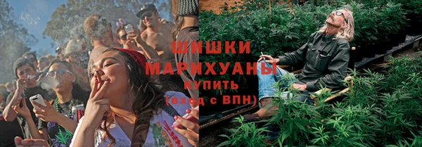 трава Арсеньев
