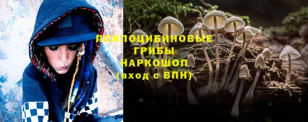 a pvp Аркадак