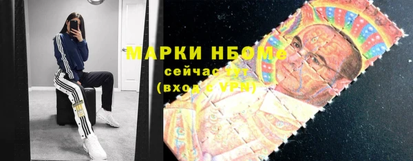 индика Ступино